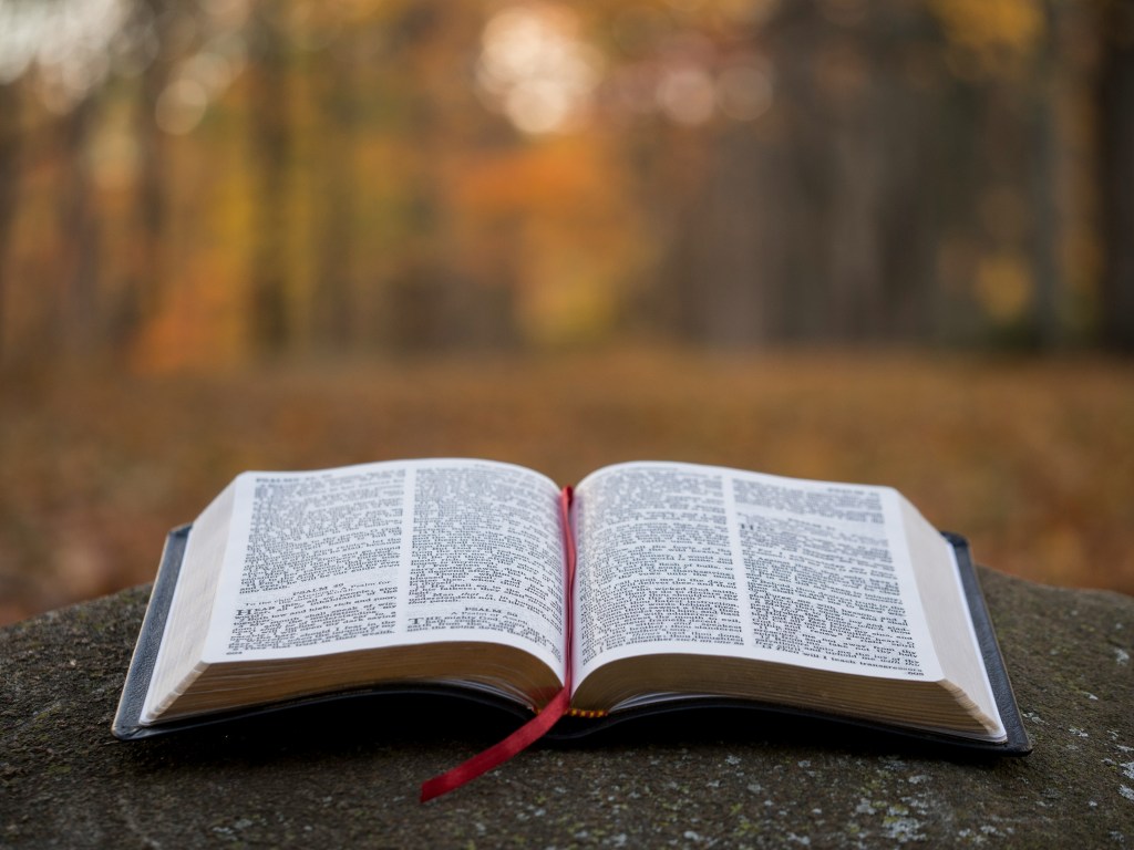 The Glory of God in&nbsp;Scripture